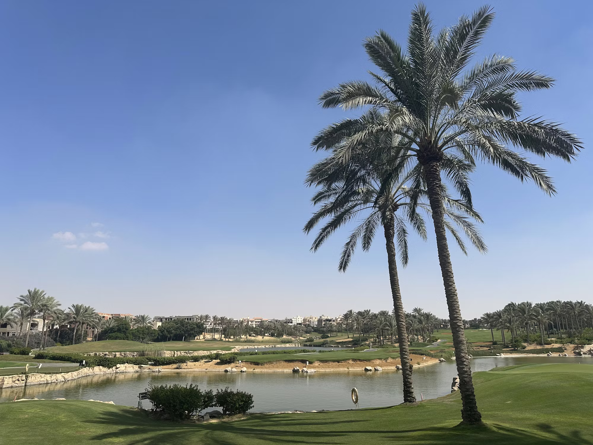 Exploring the Benefits of Golf Fitness: Enhancing Performance Through Conditioning